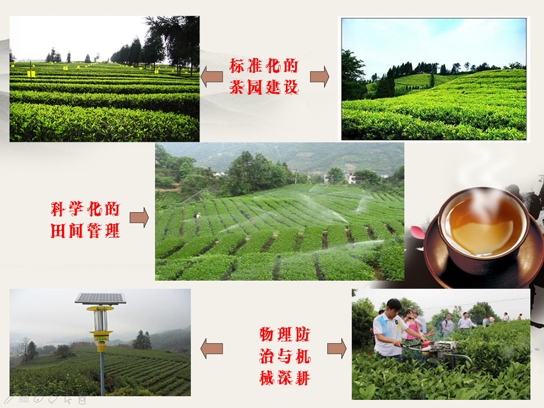 意大利贵宾会登录